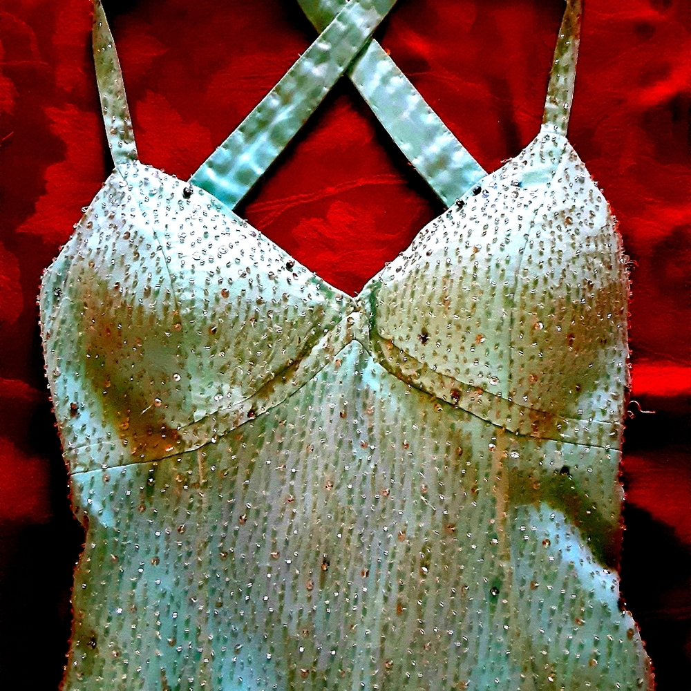 Baby blue silk gown with crystal embellishments
